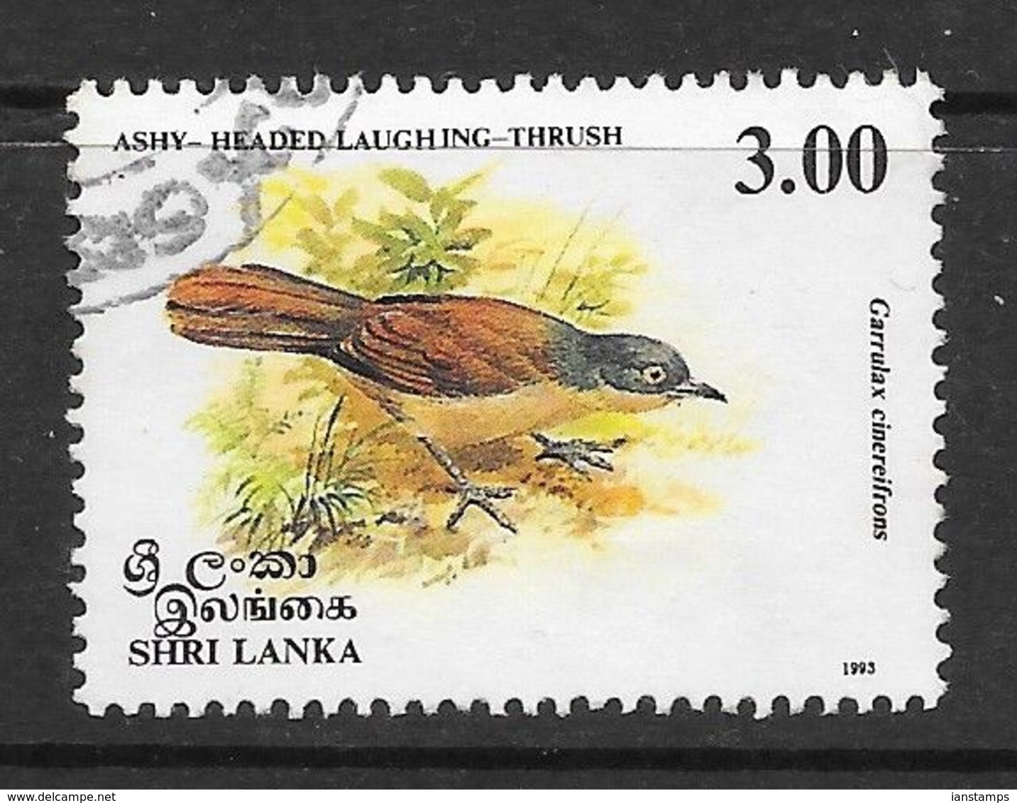 Sri Lanka 1993 Endemic Birds Laughing Thrush  Rs3.00 Used Stamp SG1242 - Sri Lanka (Ceylan) (1948-...)