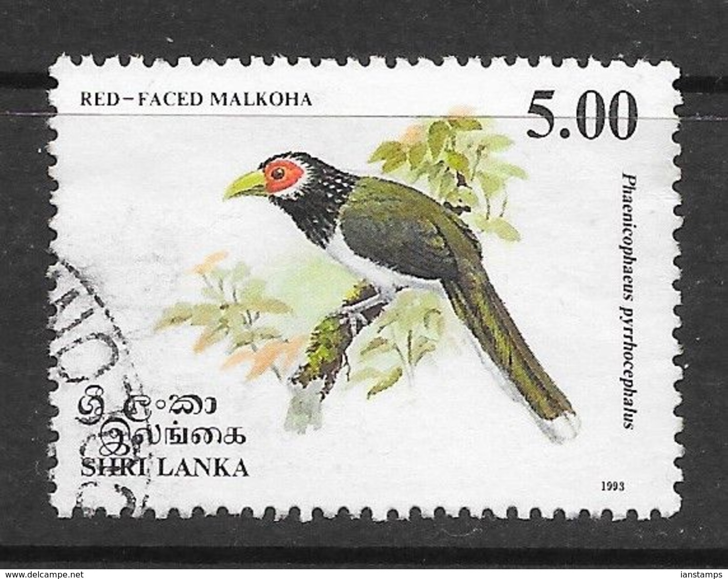 Sri Lanka 1993 Endemic Birds Malkoha  Rs5.00 Used Stamp SG1244 - Sri Lanka (Ceylan) (1948-...)