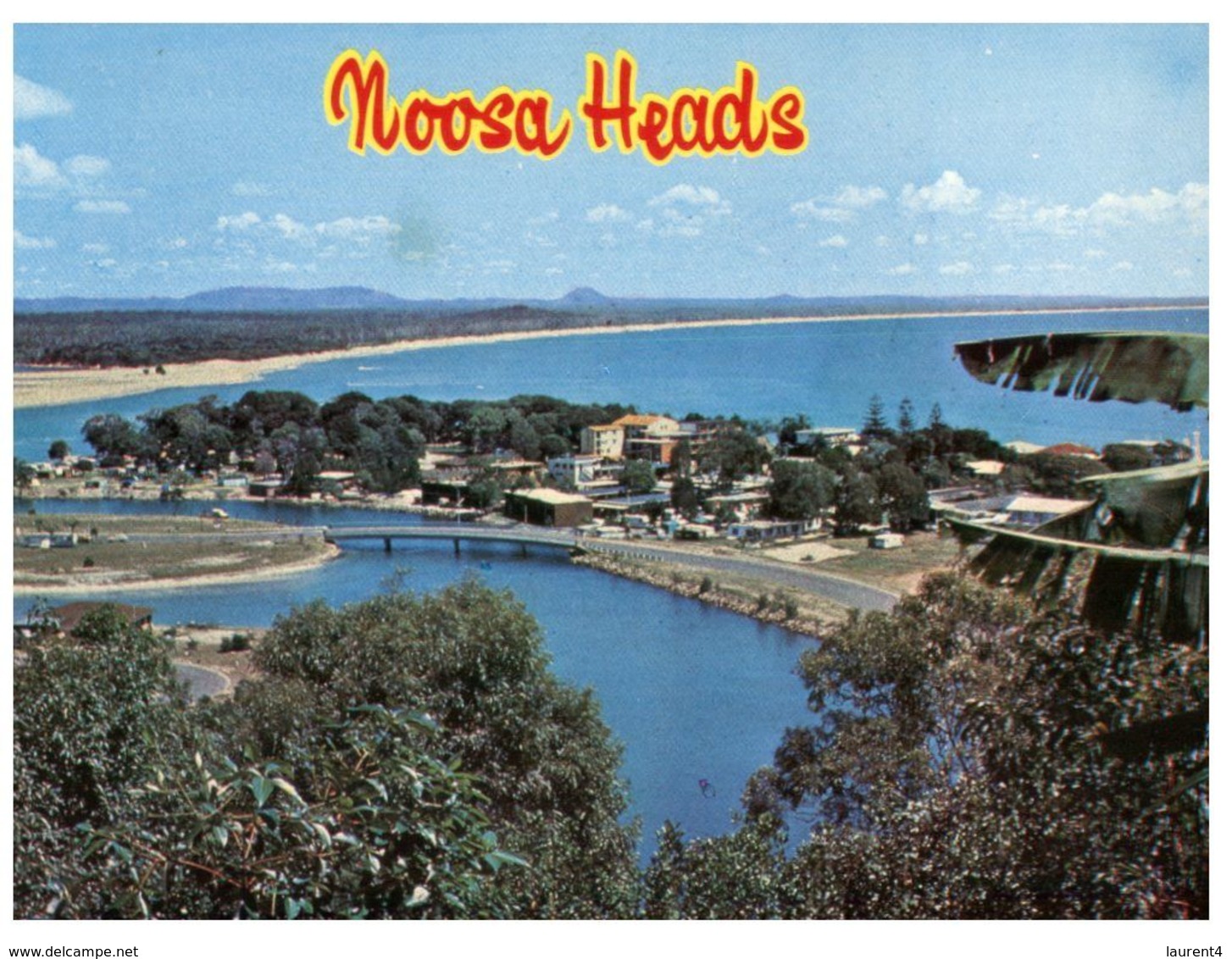 (C 5) Australia - QLD - Noosa Heads - Sunshine Coast