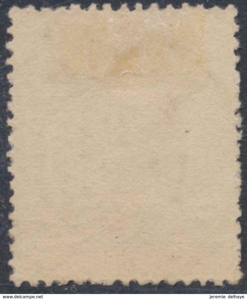 émission 1869 - N°30 Obl Double Cercle "Bastogne" (1876) / Collection Spécialisée - 1869-1883 Leopold II