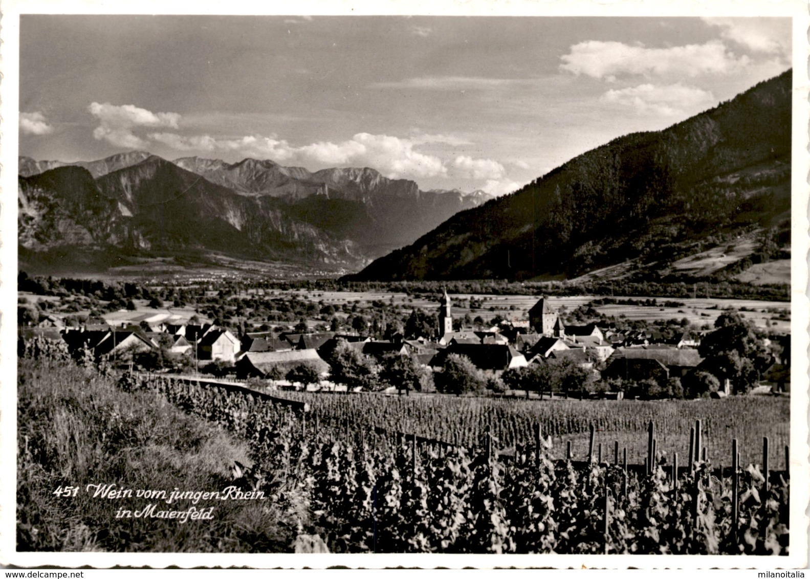 Wein Vom Jungen Rhein In Maienfeld (451) * 15. 10. 1958 - Maienfeld