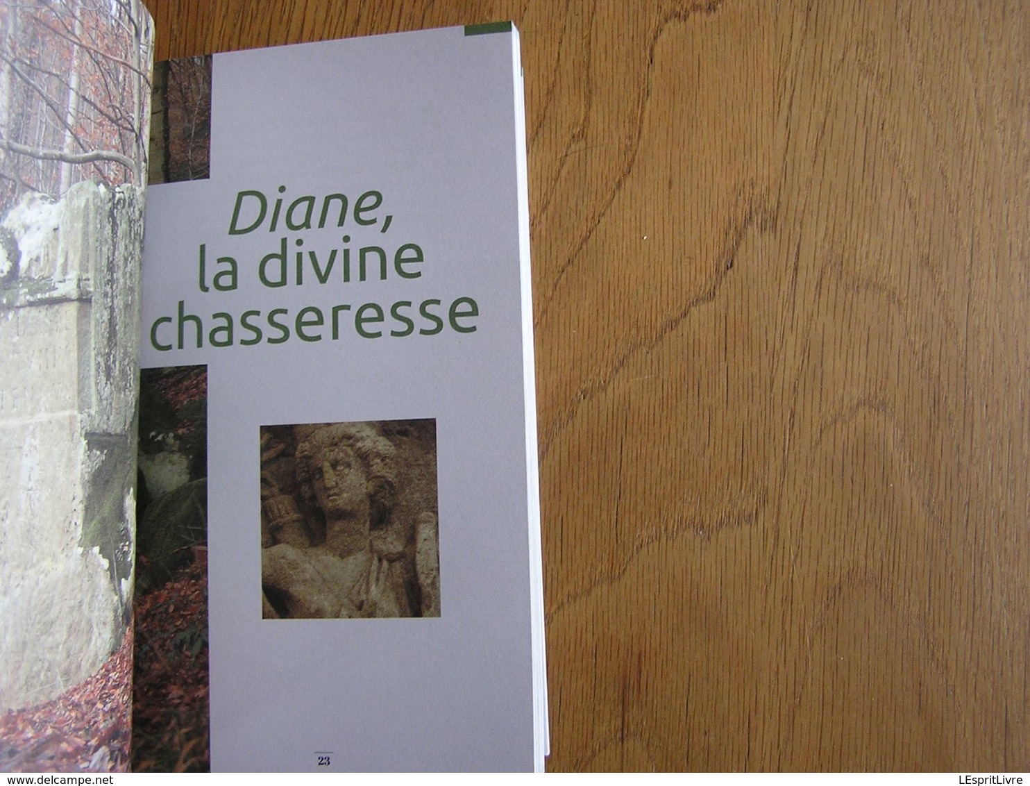 L' ARDENNE ANTIQUE  Les Dieux Déchus Régionalisme Gaume Arlon Gérouville Jamoigne Semois Dieu Déesse Diane Gaule