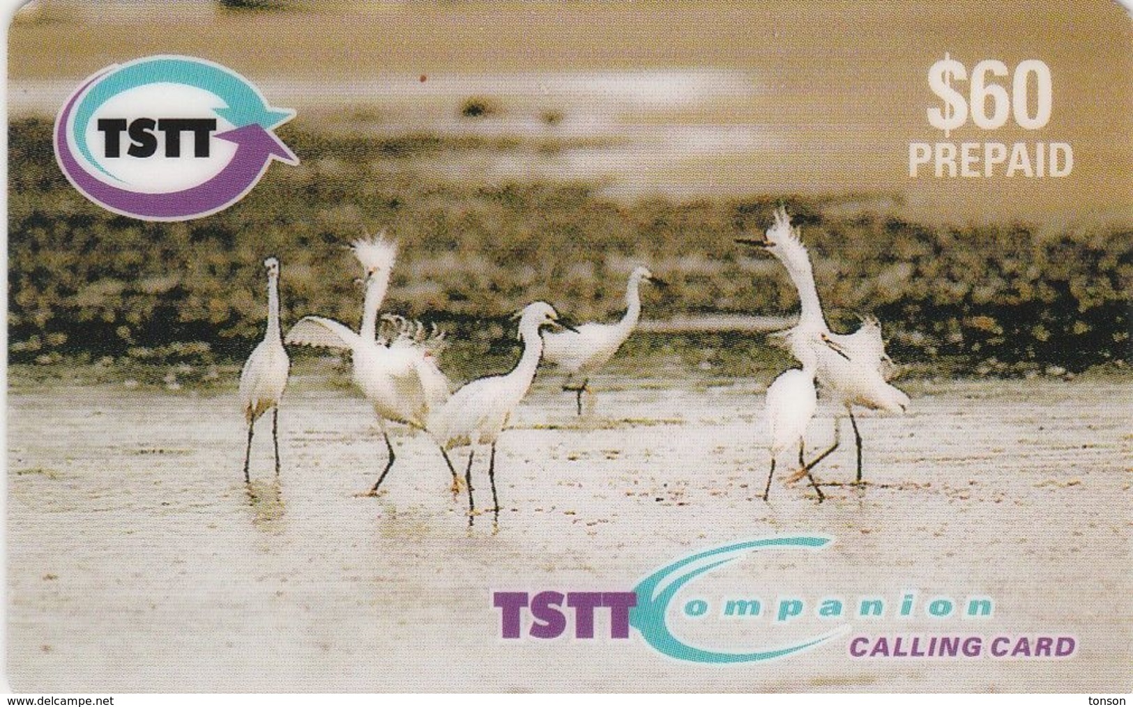 Trinidad & Tobago, TT-C&W-PRE-E001, Dancing Egrets, Birds, 2 Scans. - Trinidad & Tobago