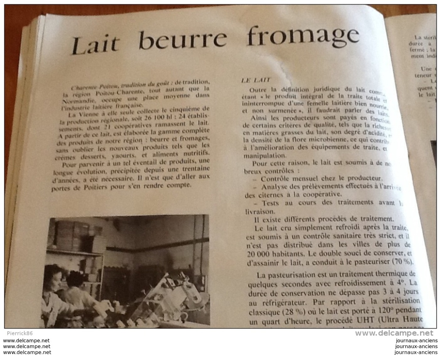 1977 LE PICTON N° 3 - ÂNES DE MIREBEAU - TOMBE A L'ENFANT - ANGLES -  RENAUDOT - VIVONNE - LAIT BEURRE FROMAGE