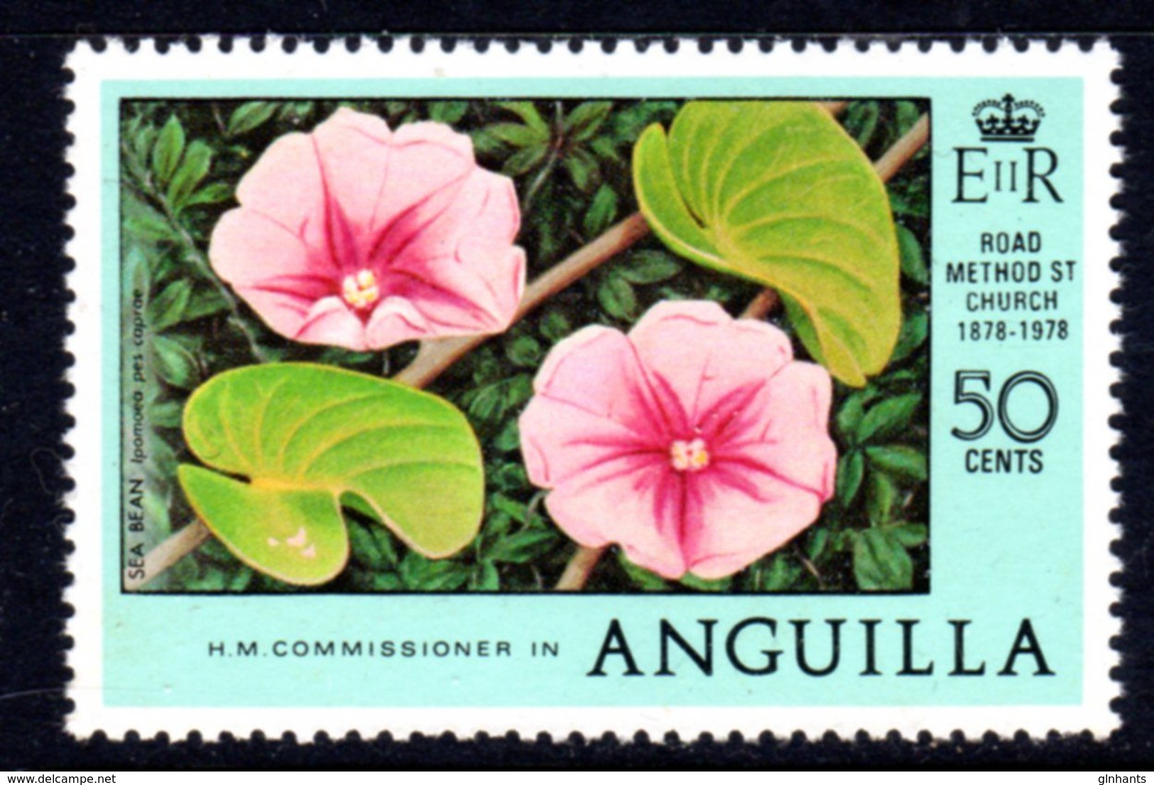 ANGUILLA - 1978 ANNIVERSARIES 50c SEA BEAN PLANT MISSING 'I' ERROR STAMP FINE MNH ** SG 327a - Anguilla (1968-...)