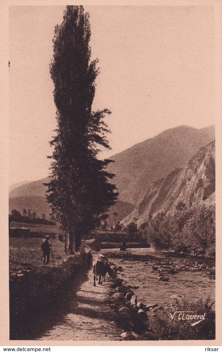 ANDORRE(ANDORRA LA VELLA) ARBRE - Andorra