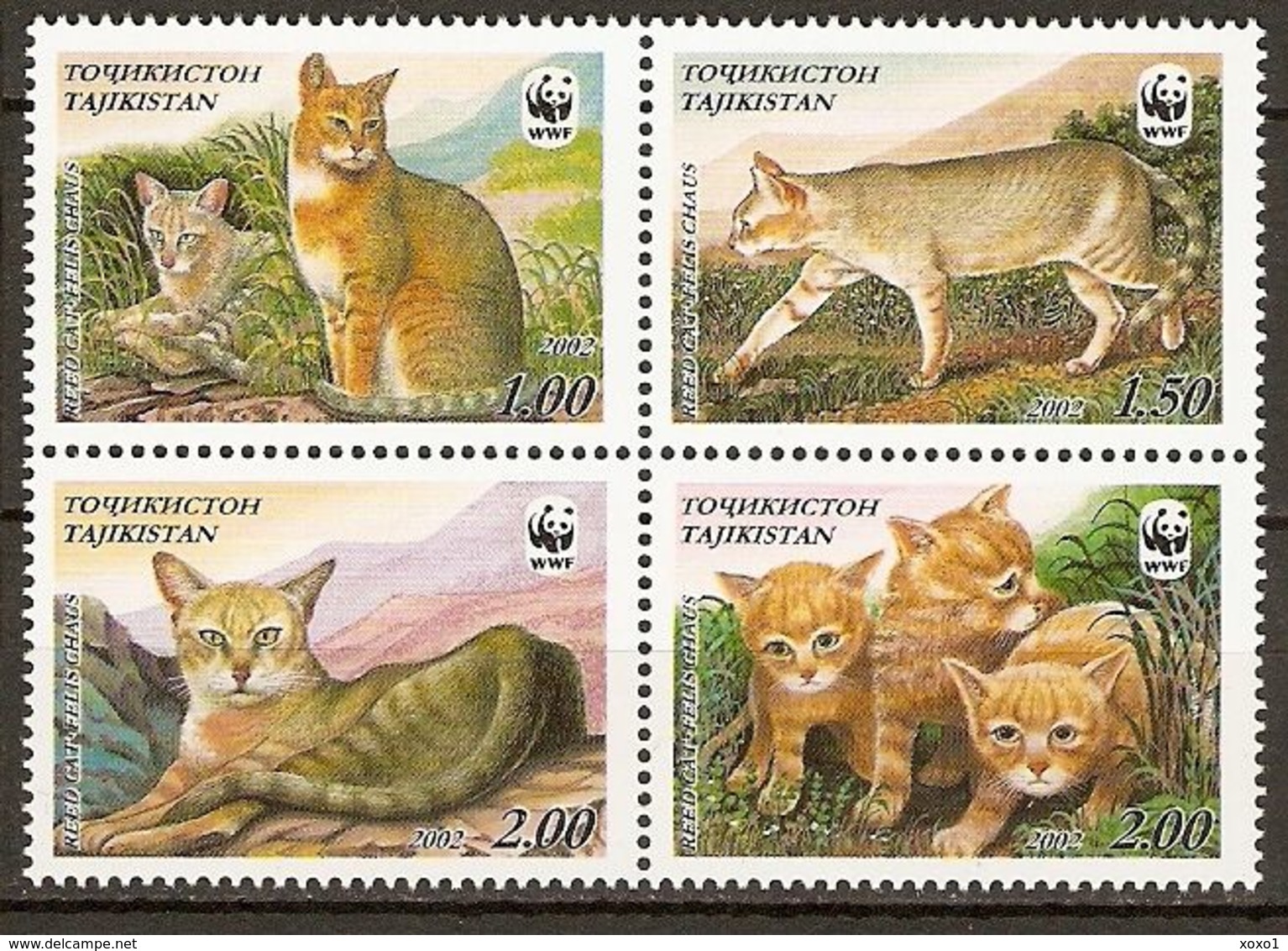 Tajikistan 2002 MiNr. 208 - 211  Tadschikistan ANIMALS Mammals Cats Of Prey Jungle Cat WWF 4v  MNH**  8,00 € - Tajikistan