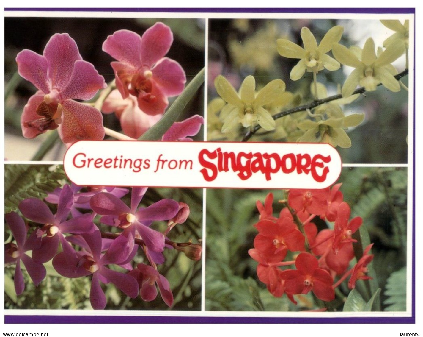 (B 6) Singapore Orchids - Singapour