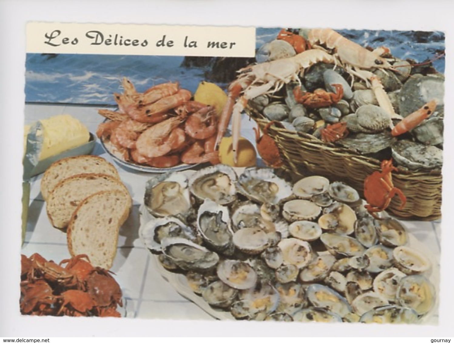 Fruits De Mer De Bretagne, Les Délices De La Mer Coquillages (dolmens Des Légendes) Emilie Bernard Recette N°87 - Pêche