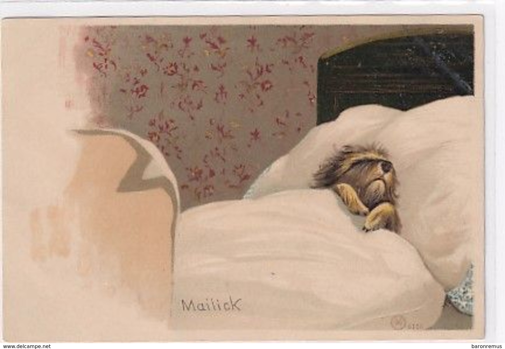 Sleeping Dog - Signed Mailick       (200708) - Sonstige & Ohne Zuordnung