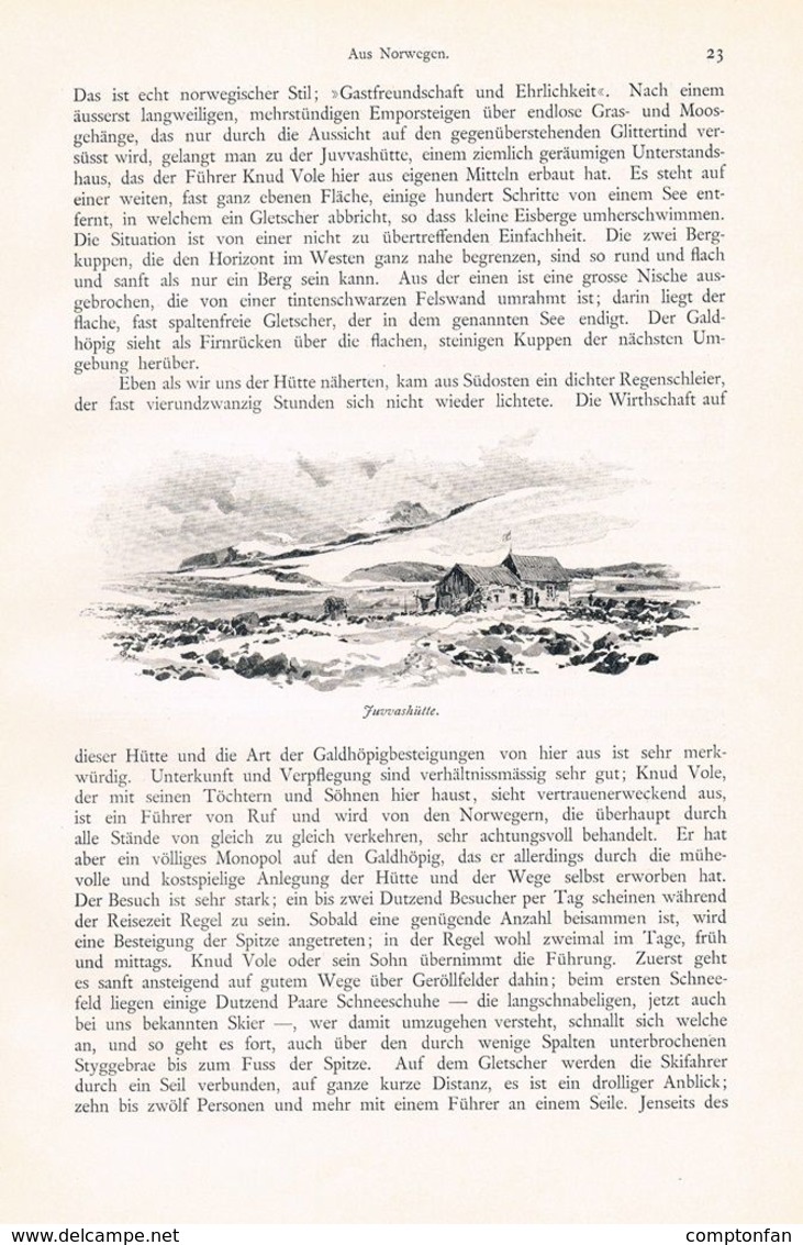 a102 593 - Richter Compton Norwegen Loensee Lofoten Artikel von 1896 !!