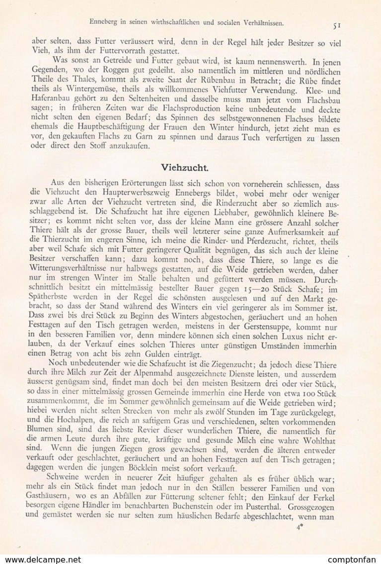 A102 608 - Johann Alton Enneberg Marebbe Südtirol Artikel Von 1899 !!                                           . - Otros & Sin Clasificación