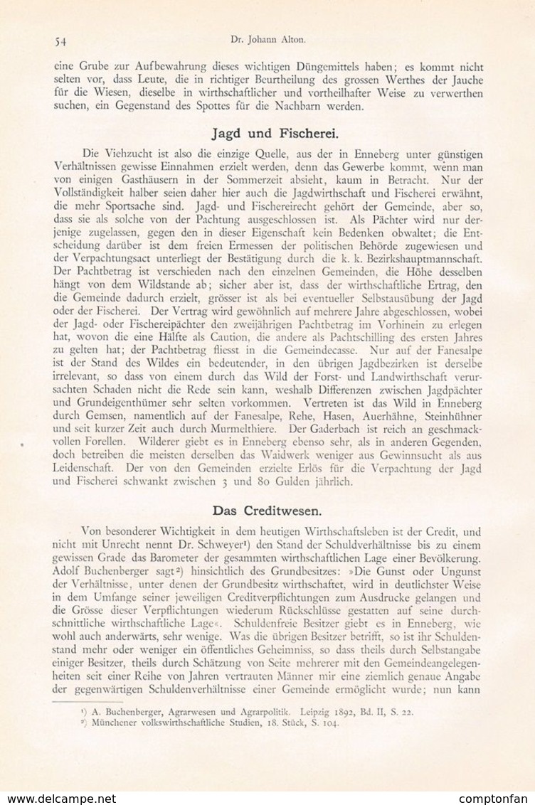 A102 608 - Johann Alton Enneberg Marebbe Südtirol Artikel Von 1899 !!                                           . - Otros & Sin Clasificación