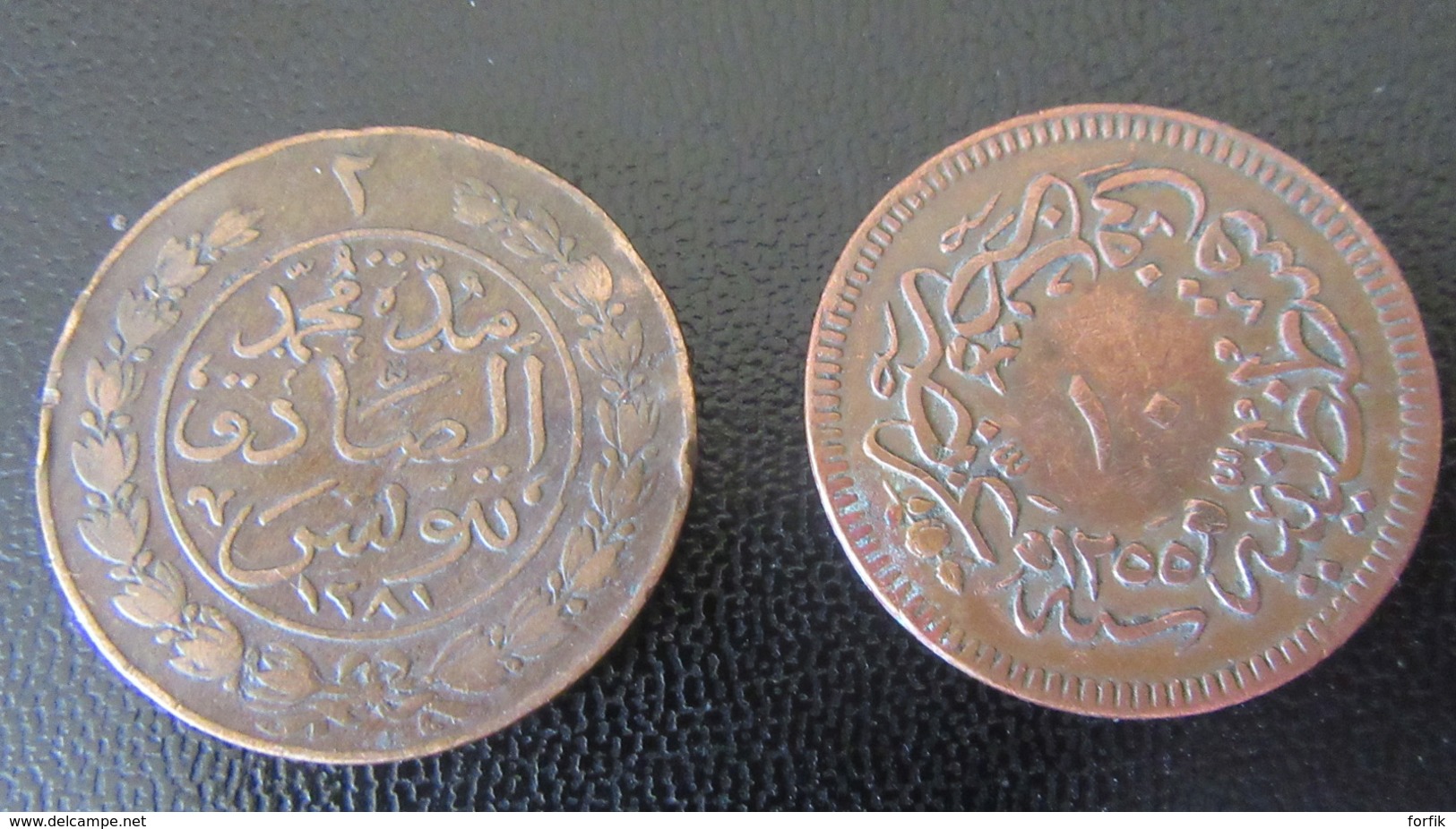 13 Monnaies orientales 19e et 20e dont Empire Ottoman (Para), Maroc (Falus), Tunisie dont protectorat français, etc...