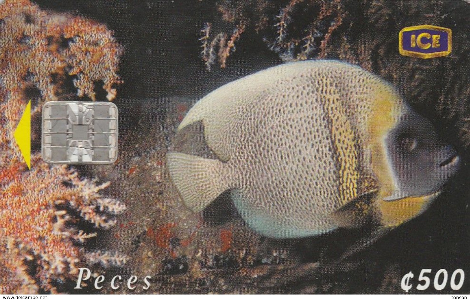 Costa Rica, CRI-C-45, Pez Angel (1St Edition), Fish, 2 Scans. - Costa Rica