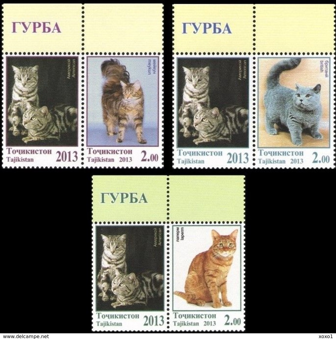 Tajikistan 2013 MiNr. 614 - 616 Tadschikistan Cats Pets ANIMALS 3 St. + Lab. MNH** 7.20 € - Tadjikistan