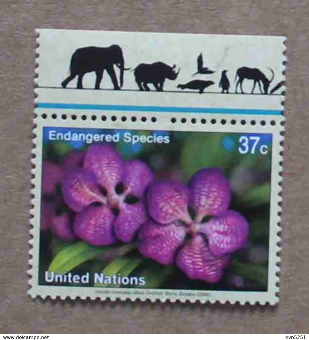 NY05-01 : Nations-Unies (New-York) / Protection De La Nature - Orchidée Vana Coerulea - Neufs