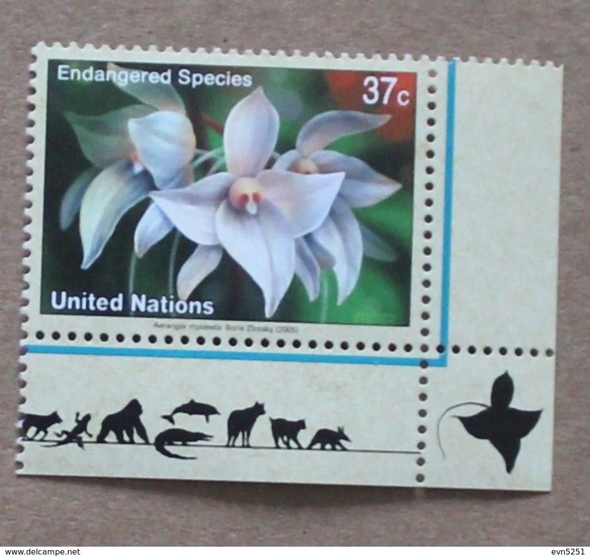 NY05-01 : Nations-Unies (New-York) / Protection De La Nature - Orchidée épiphyte "Aerangis Modesta" - Neufs