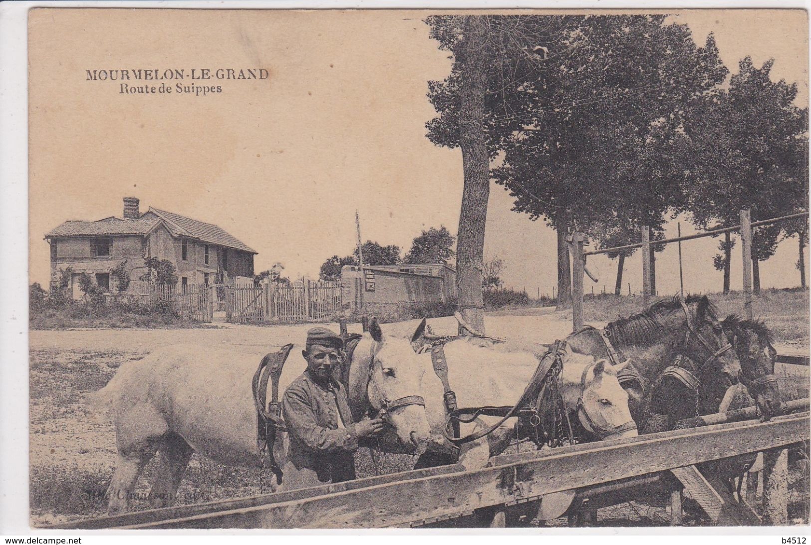 51 MOURMELON Le GRAND Route De Suippes ,chevaux En Train De Manger Avec Palefrenier - Mourmelon Le Grand