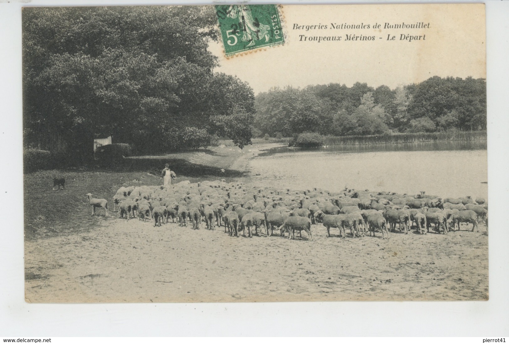 RAMBOUILLET - Bergeries Nationales De Rambouillet - Troupeaux Mérinos - Le Départ - Rambouillet