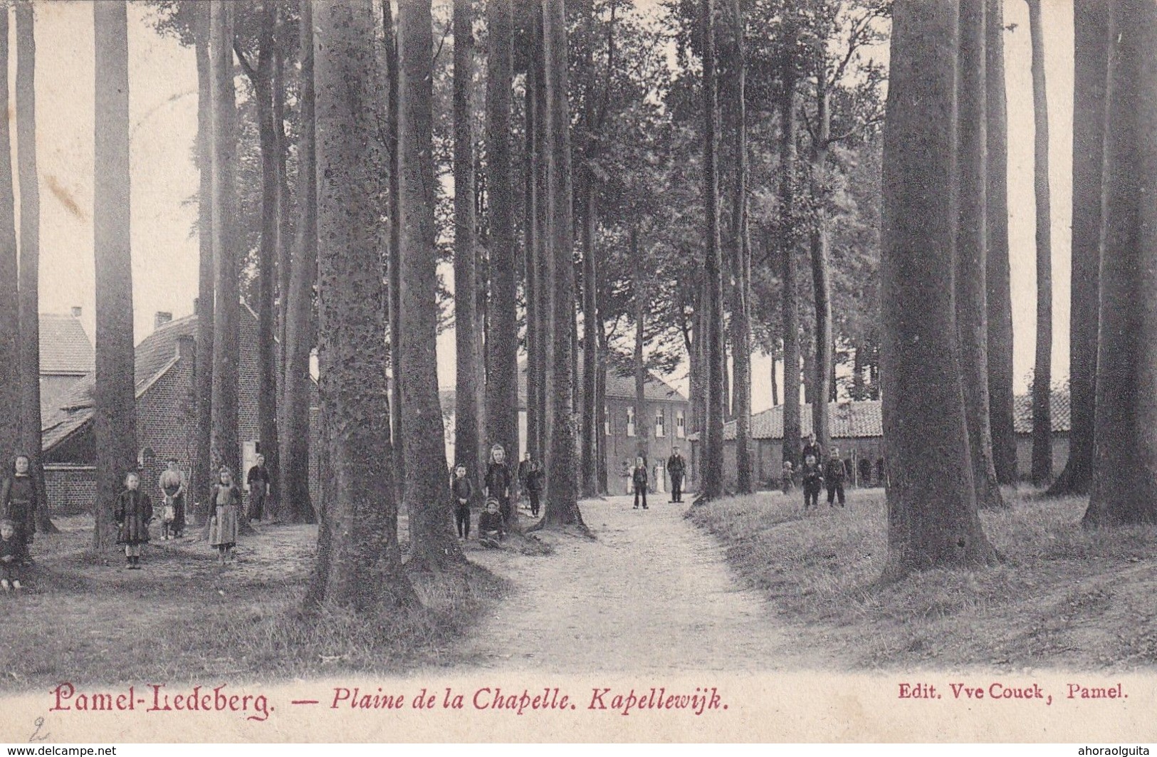 DDX 327  --  Carte-Vue Animée PAMEL-LEDEBERG , Kapellewijk - TP Armoiries AMBULANT Poperinghe-Bruxelles 1908 - Roosdaal