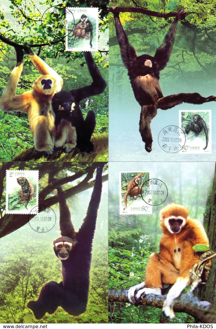 "  SINGES " Sur LOT De 4 Cartes Maximum De 2002. Parfait état. CM - Maximum Cards