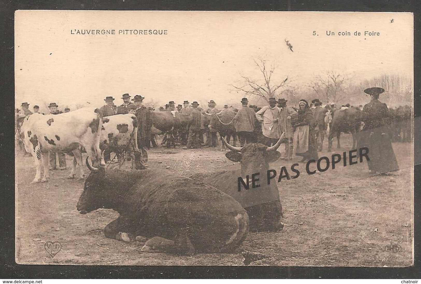 Auvergne   Un Coin De Foire  / Vaches / Paysans - Auvergne