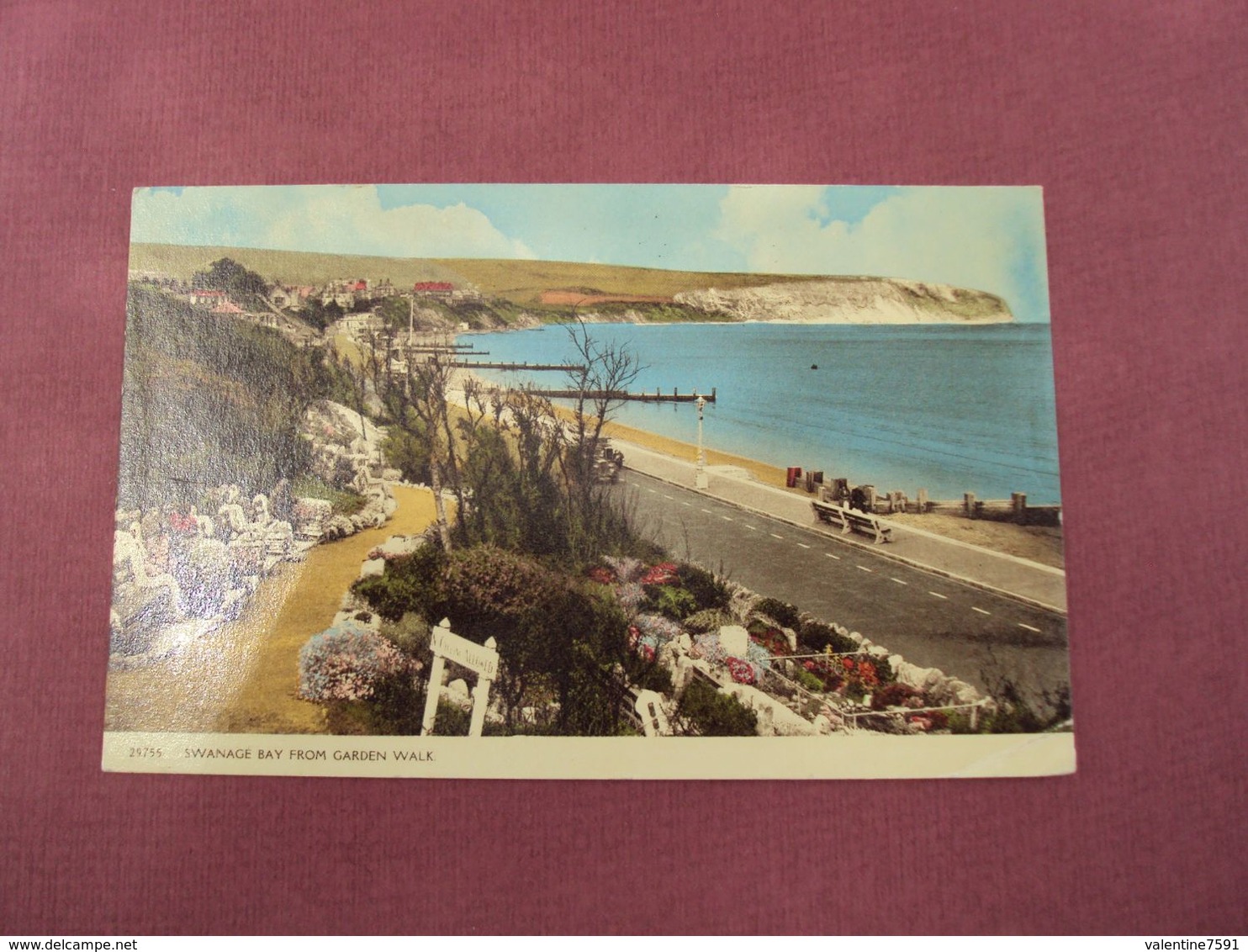 CP-   ROYAUME -UNI   - ANGLETERRE,   Swanage Bay From Garden Walk   -  Net 0.50 - Swanage