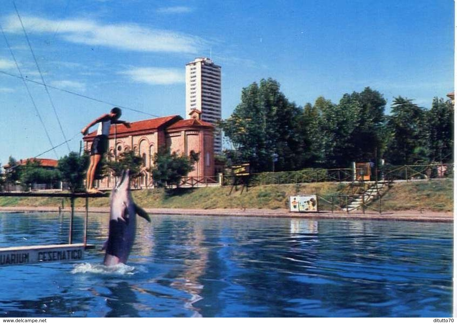 Cesenatico - Aquarium Dei Delfini - Formato Grande Viaggiata – E 16 - Altri & Non Classificati