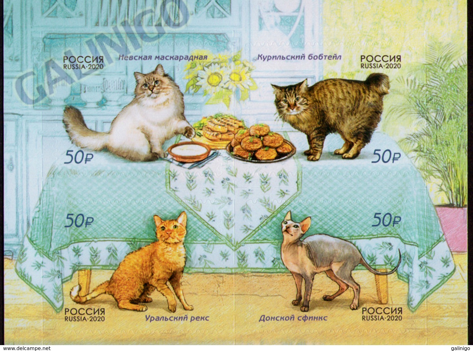 2020-2611-2614 Russia 4v-top Fauna. Cats MNH ** - Unused Stamps