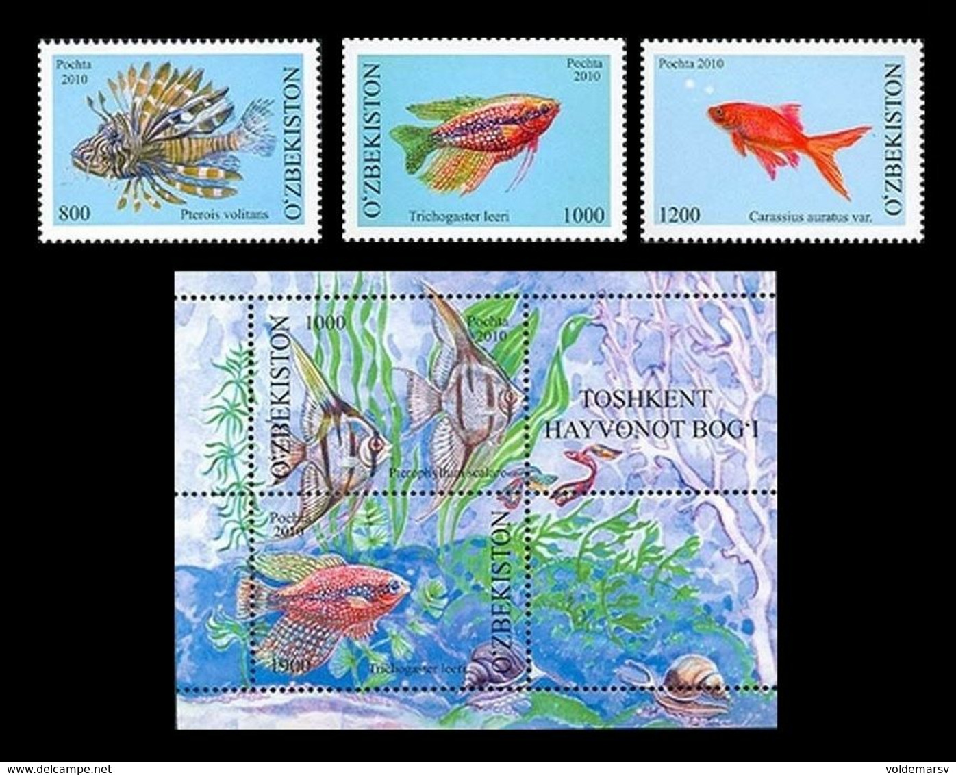 Uzbekistan 2010 Mih. 911/13 + 914/15 (Bl.58) Fauna. Aquarium Fishes Of The Tashkent Zoo MNH ** - Ouzbékistan