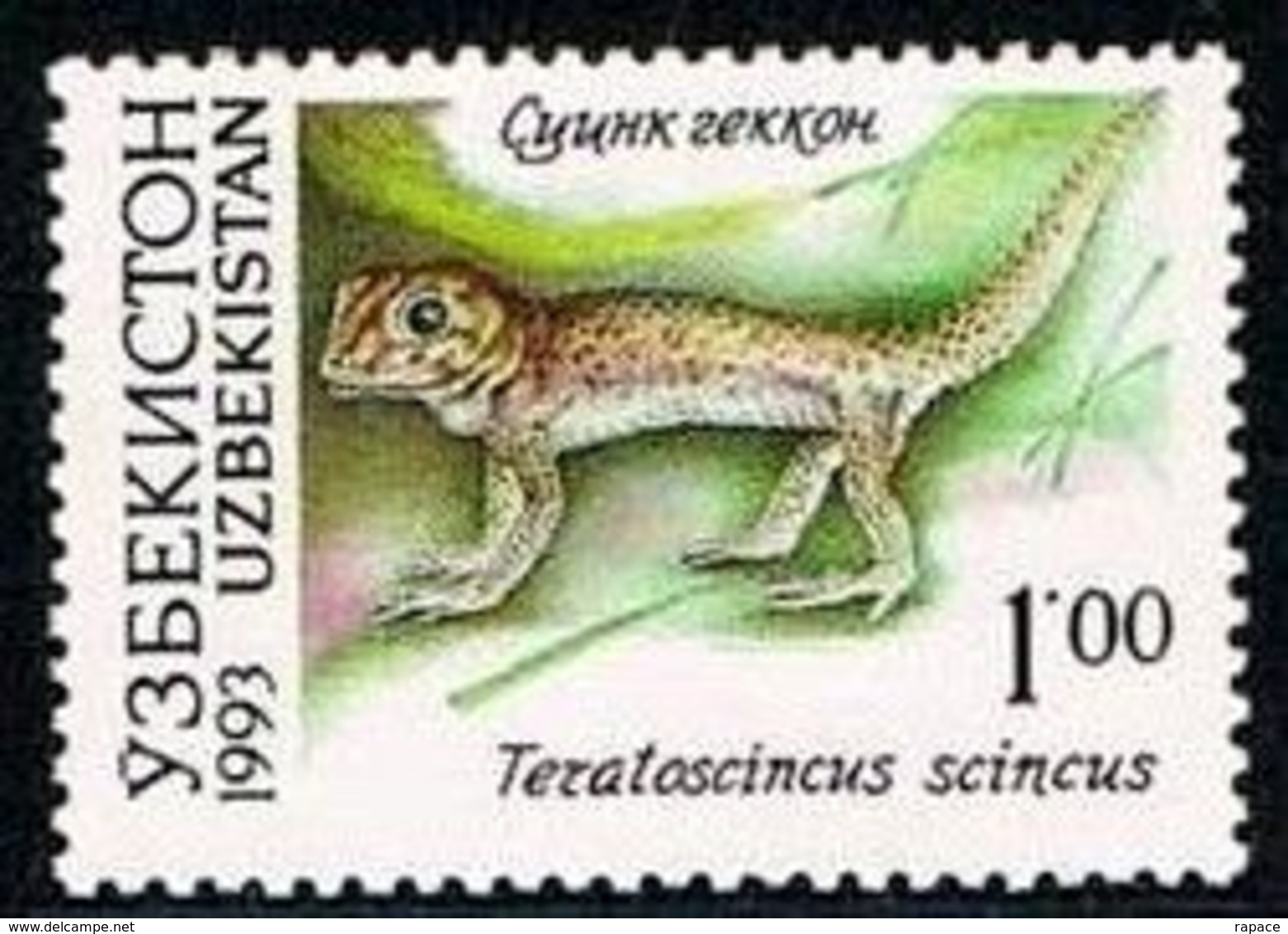 Ouzbékistan 1993 - Gecko (Teratoscincus Scincus) - Other & Unclassified