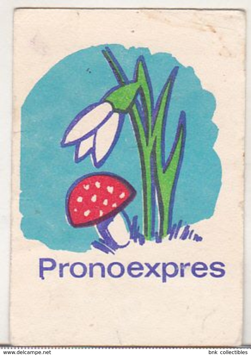 Romanian Small Calendar - 1980 Loto-Pronosport - Pronoexpres - Lottery Calendar - Small : 1971-80