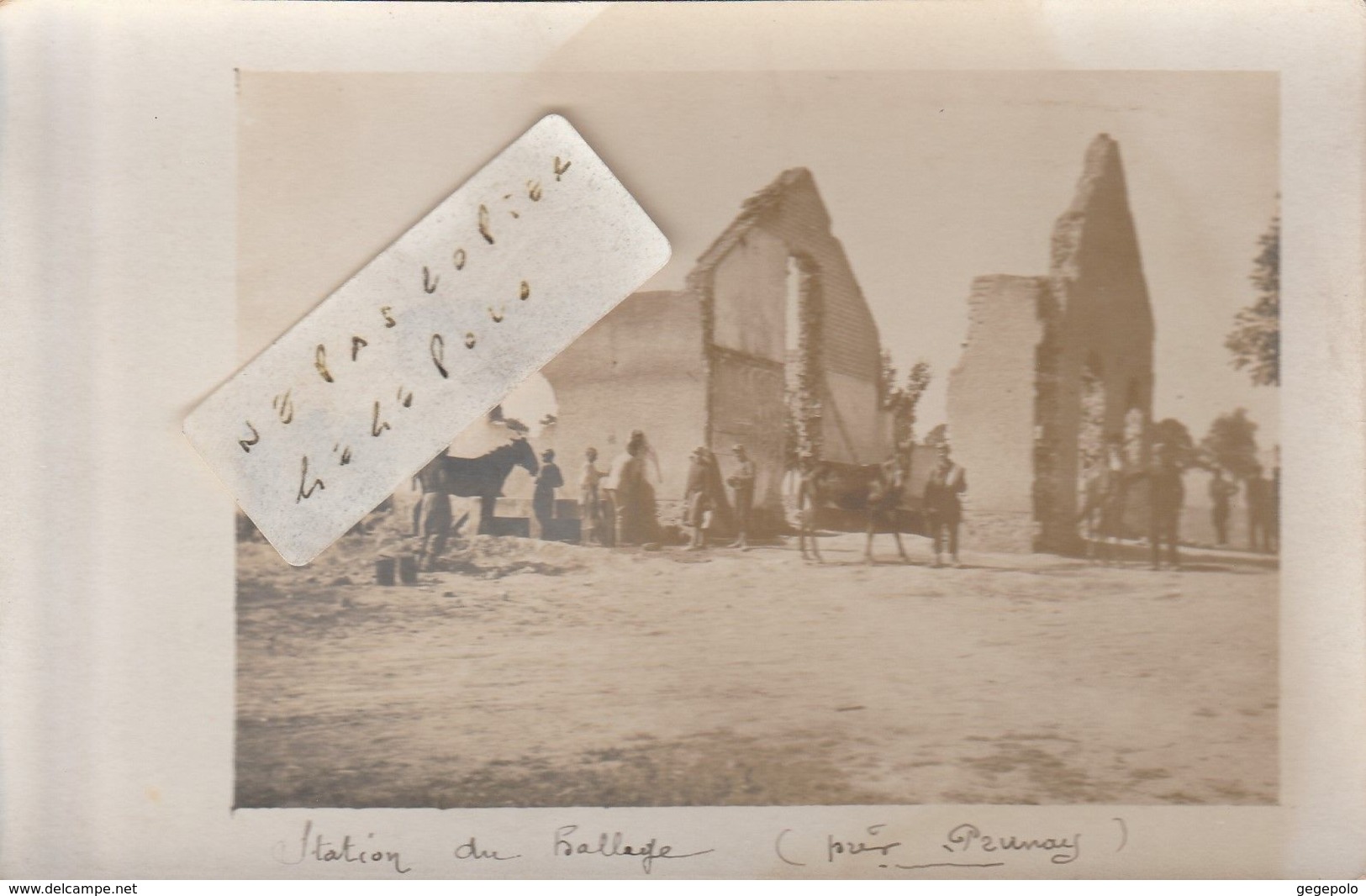 Environs De PRUNAY   - Station Du Hallage  ( Carte Photo ) - Other & Unclassified