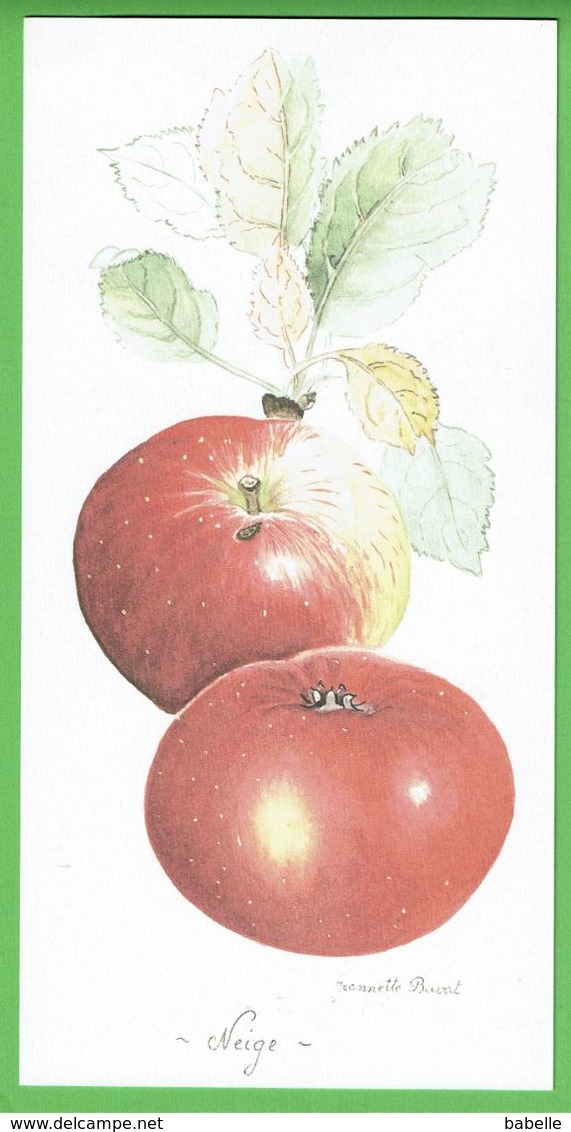 POMME " Neige " - Magnifique Carte D'une Aquarelle De Jeannette Buvat (Creuse) - Otros & Sin Clasificación