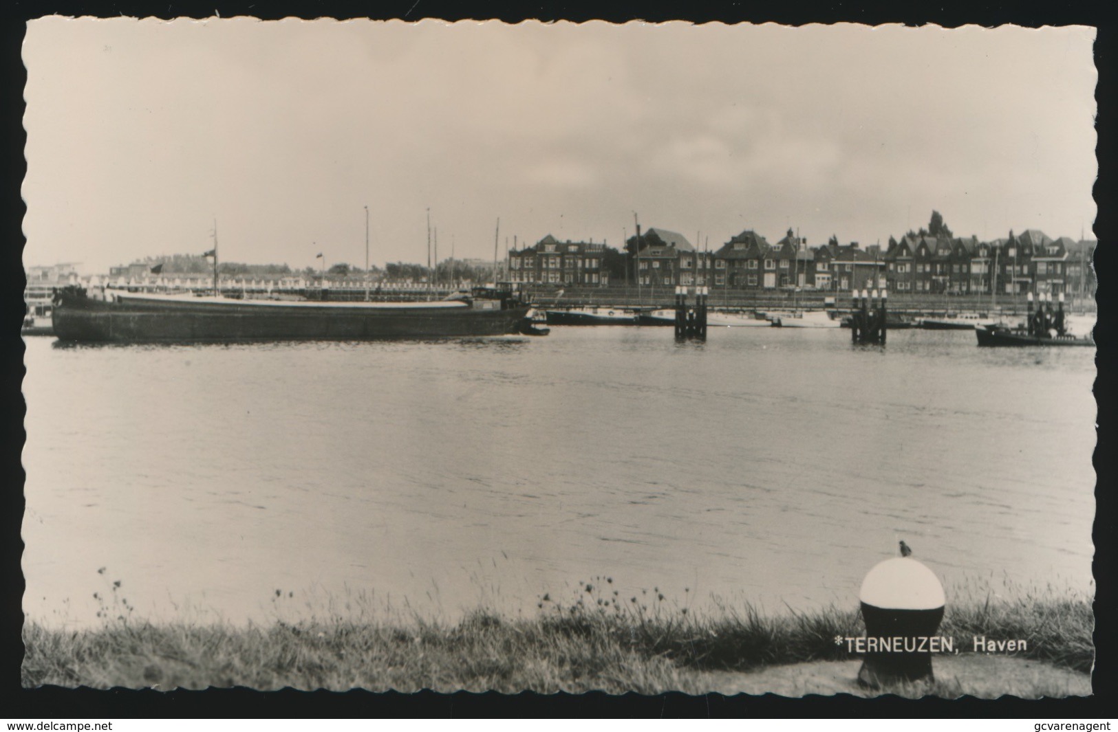 TERNEUZEN  HAVEN   FOTOKAART - Terneuzen