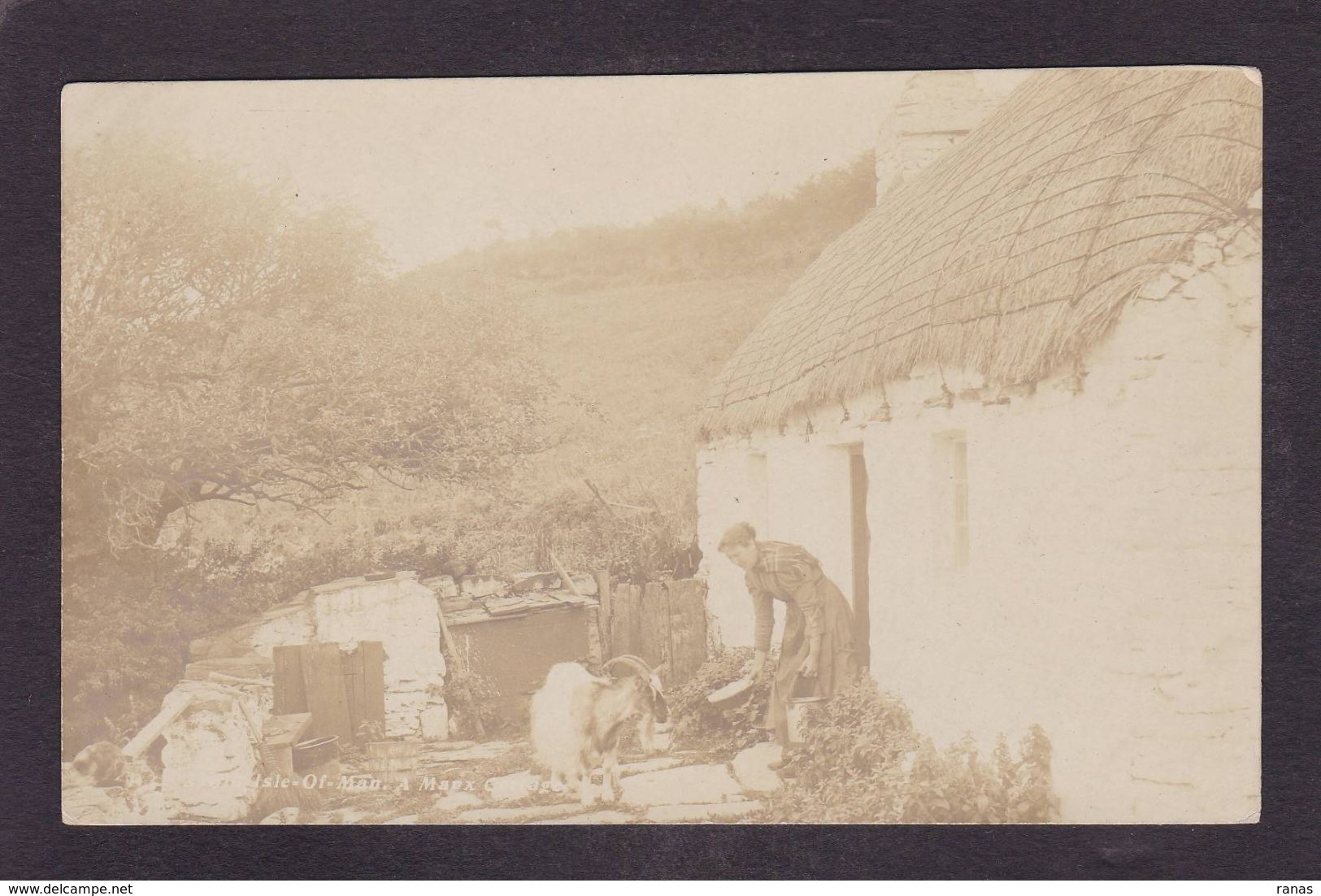 CPA Angleterre Ile De Man Carte Photo Non Circulé Voir Scan Du Dos Chèvre Caprin - Ile De Man