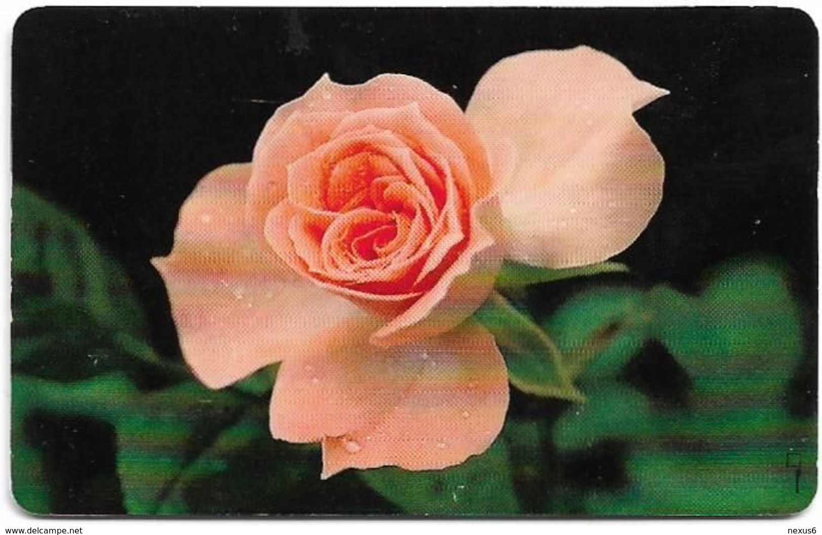 UK - BT - BCF - Rose Trial Card 20£, TRL016a (With Date, Written 4438, Big Gemplus), 09.1996, 2.000ex, Used - BT Test & Trials