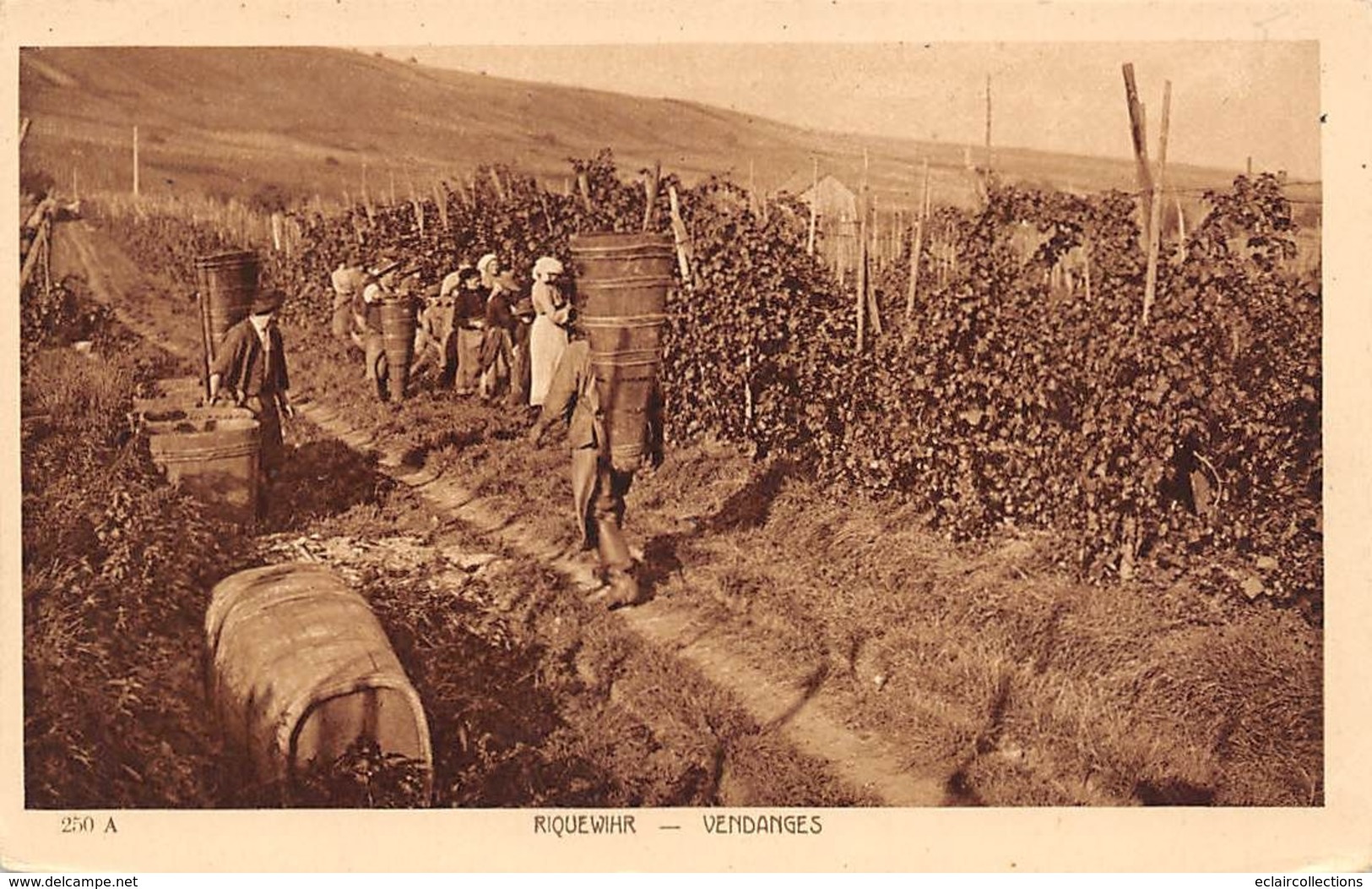 Riquewihr             68        Les Vendanges     (voir Scan) - Riquewihr