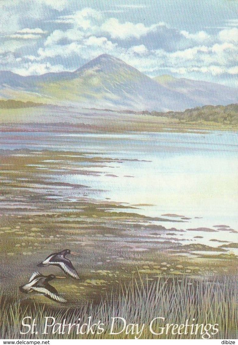 Post Card. Eire. St.Patrick's Day Greetings. View Of Croagh Patrick. Place Of Pilgrimage. Postage Paid. Circulated 1990 - Saint-Patrick's Day