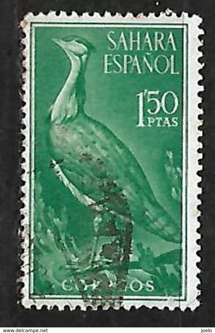 SPANISH SAHARA 1961 BIRD - Sahara Español