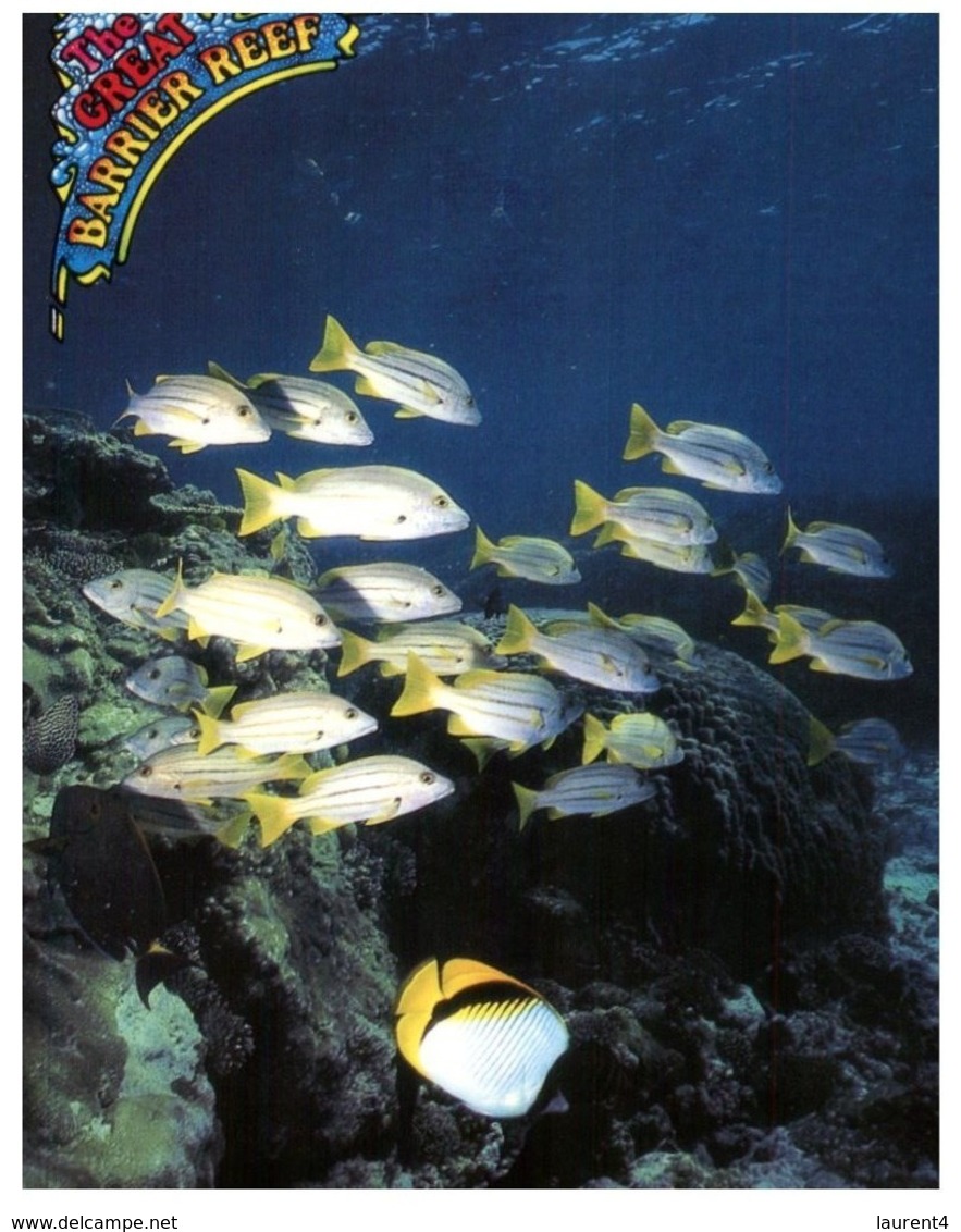 (C 30) Australia - QLD - Great Barrier Reef Fish - Great Barrier Reef