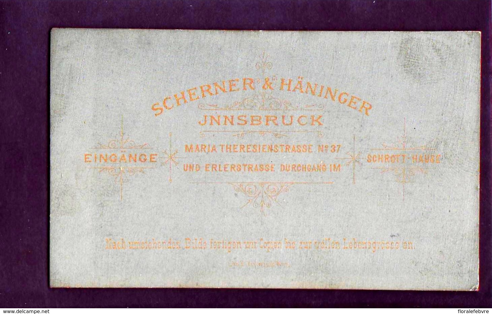 CDV SCHERNER & HANINGER INNSBRUCK   :   Très Beau Portrait Très élégante Jeune Femme Prenant La Pose Vintage Albumen - Old (before 1900)