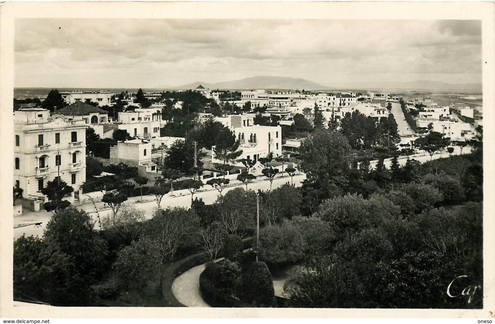 Etrangères - Maroc - Lot N° 489 - Lots en vrac - Lot divers du Maroc - Lot de 254 cartes