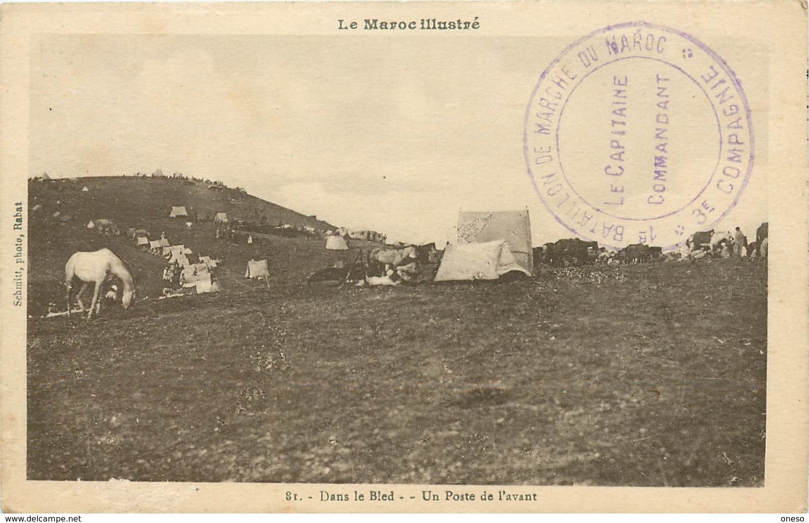 Etrangères - Maroc - Lot N° 489 - Lots en vrac - Lot divers du Maroc - Lot de 254 cartes