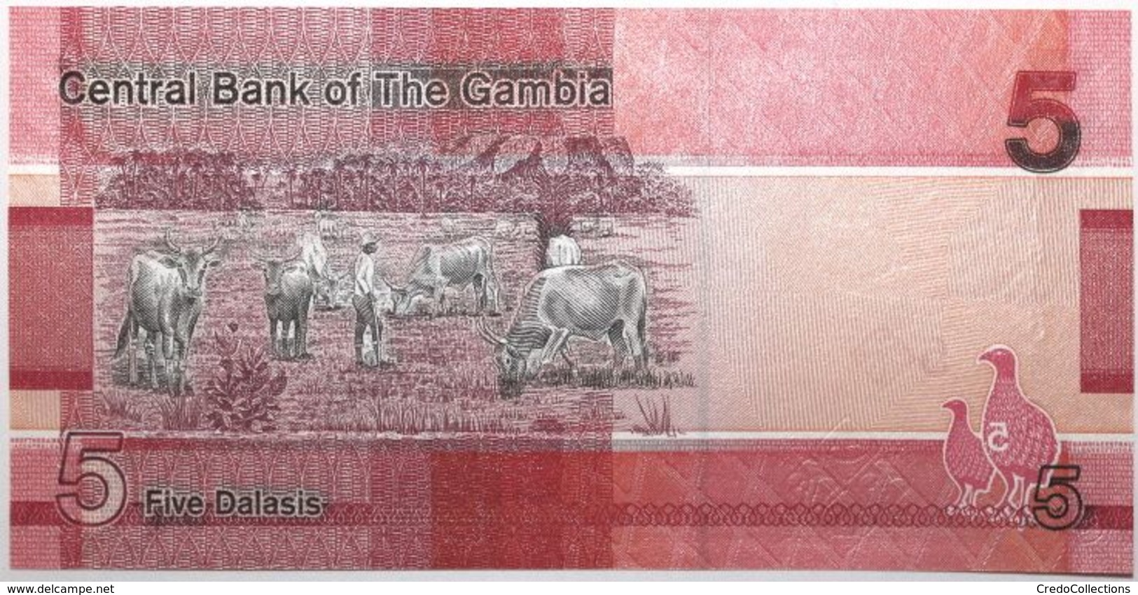 Gambie - 5 Dalasis - 2019 - PICK 37a - NEUF - Gambia