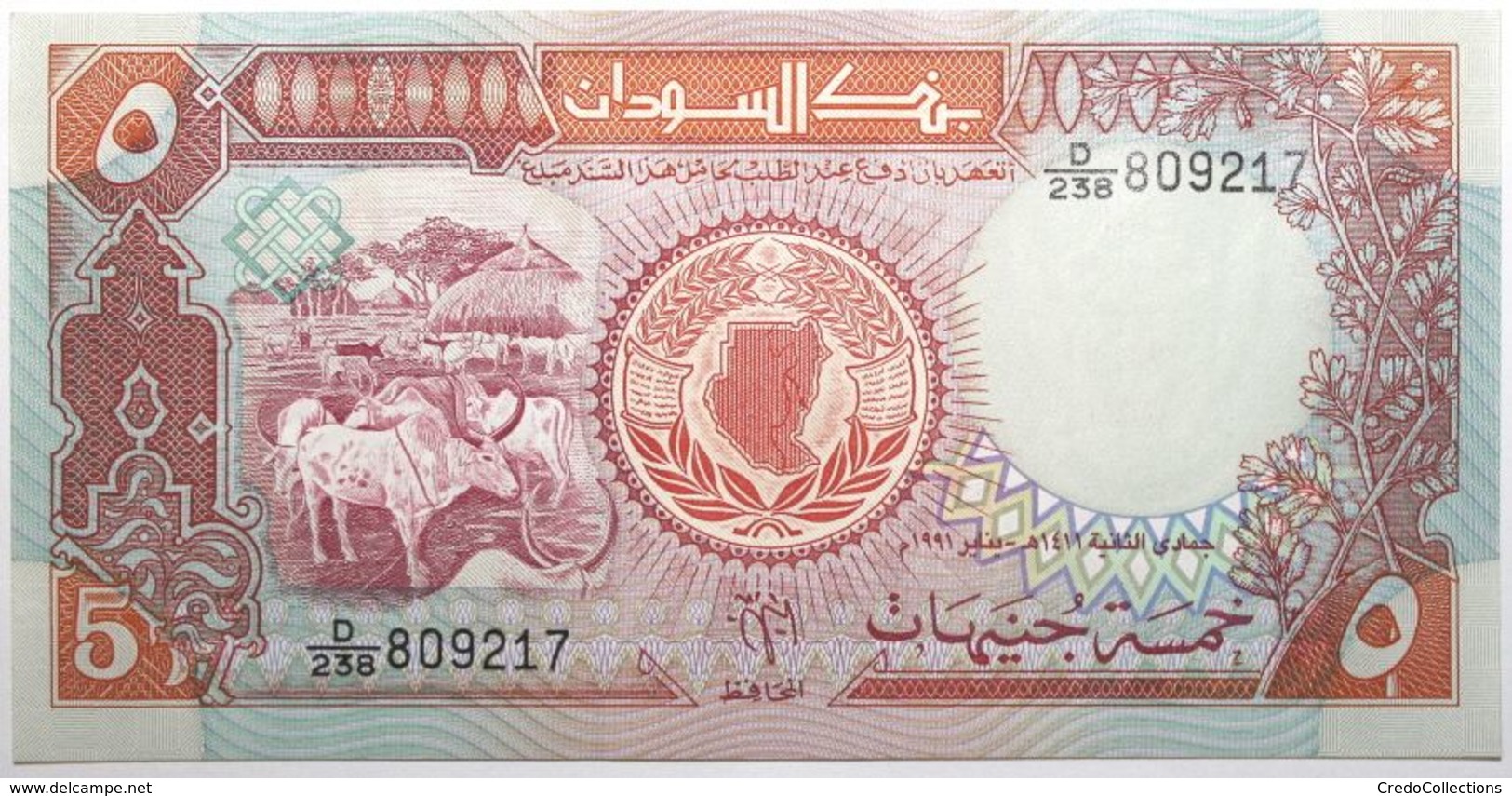 Soudan - 5 Pounds - 1991 - PICK 45 - NEUF - Sudan