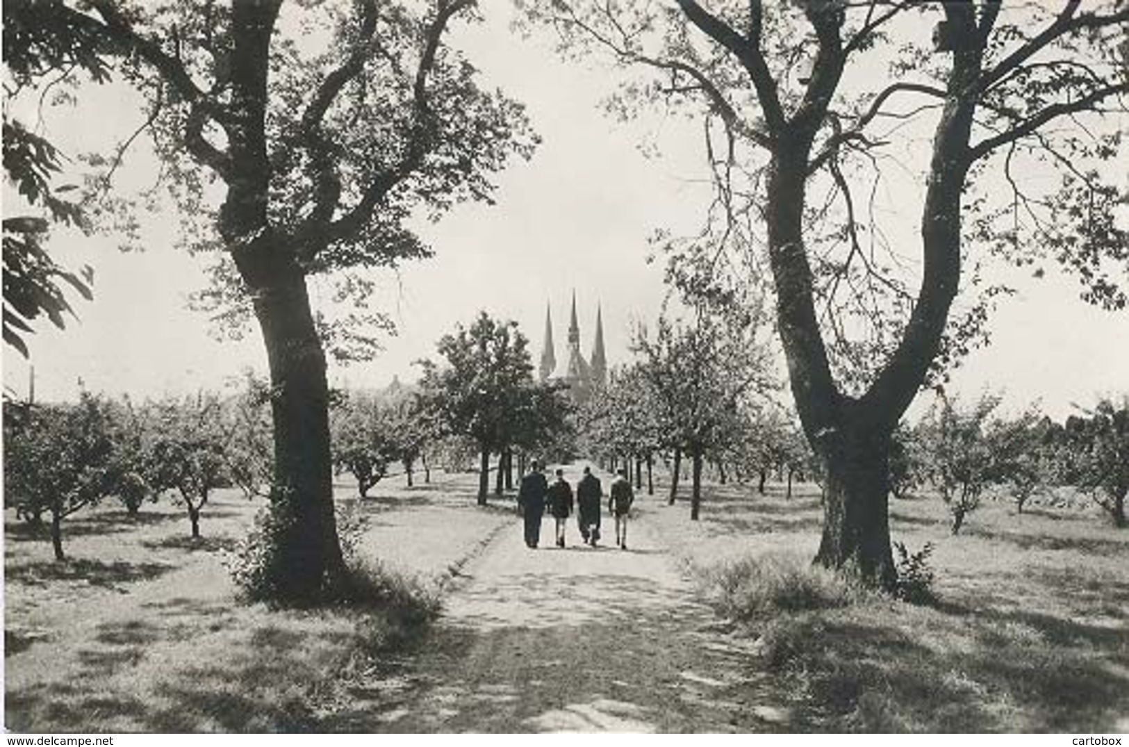 Tilburg , Cistercienser Abdij , O.L. Vr. V. Koningshoeven , Kloostertuin       (glansfotokaart) - Tilburg