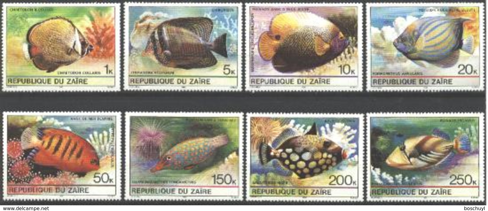 Zaire, 1980, Tropical Fish, Animals, Wildlife, MNH, Michel 664-671 - Andere & Zonder Classificatie