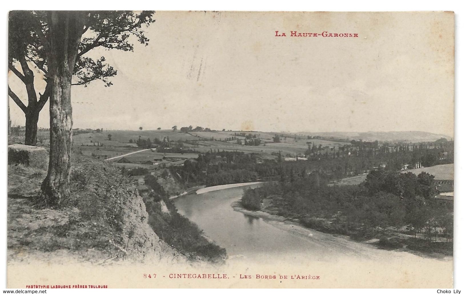 Lot De 20 Cartes Postales Du Département De Haute-Garonne - 31 - Autres & Non Classés